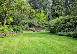 Optimiser l'expérience du jardin à Sorans-les-Breurey